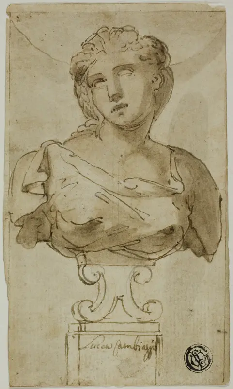 Bust of a Woman Wall Art by Luca Cambiaso - High-Resolution Digital Print