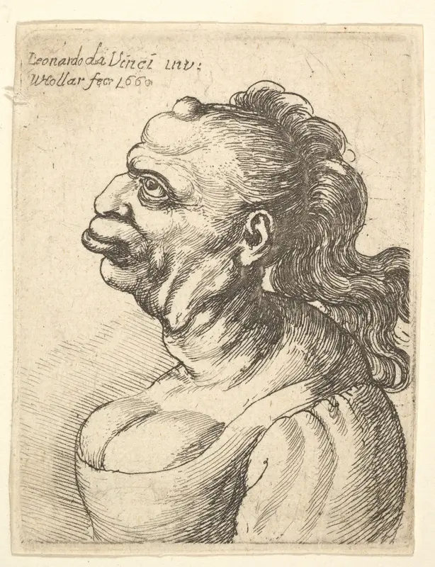 Bust of a woman wearing low-cut dress, with protruding lipd, growth on her forehead, prominent breast, long flowing hair down her back, in profile to left. Wall Art by Wenceslaus Hollar - High-Resolution Digital Print