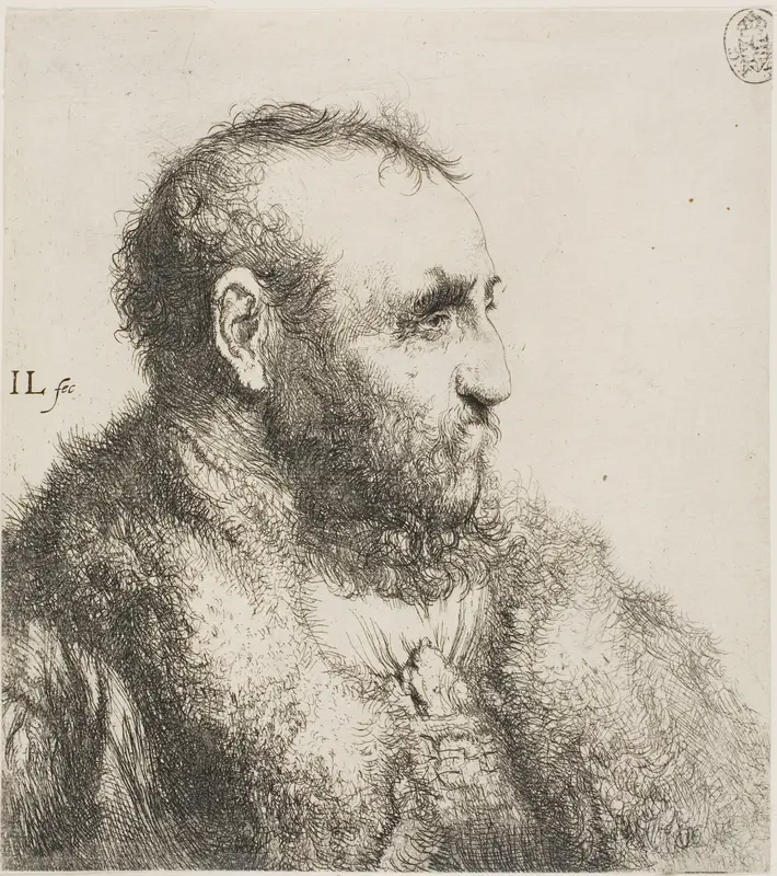 Bust of an Old Man Wall Art by Jan Lievens - High-Resolution Digital Print