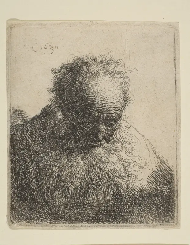Bust of an Old Man with a Flowing Beard: the Head Bowed Forward: Left Shoulder Unshaded Wall Art by Rembrandt (Rembrandt van Rijn) - High-Resolution Digital Print