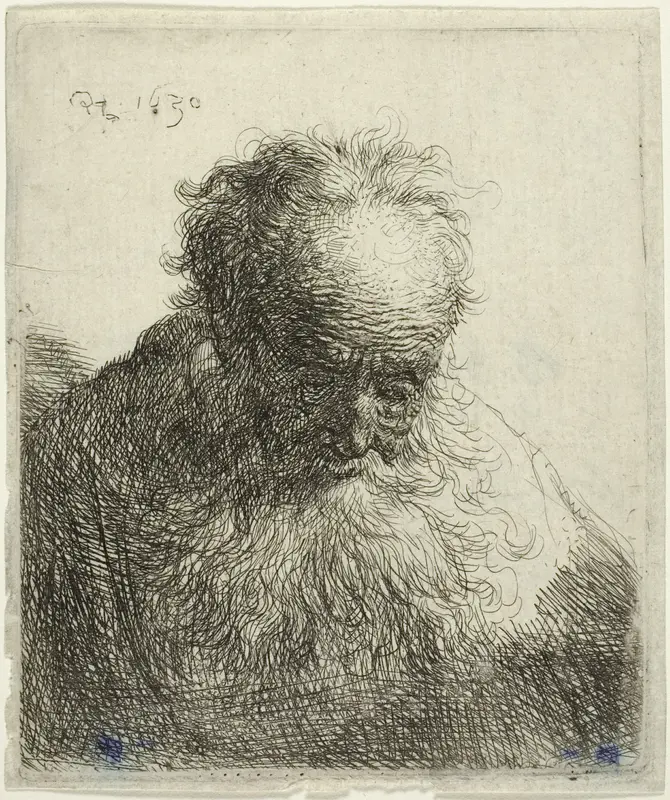 Bust of an Old Man with a Flowing Beard: The Head Bowed Forward: Left Shoulder Unshaded Wall Art by Rembrandt van Rijn - High-Resolution Digital Print