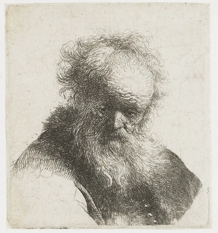 Bust of an old man with flowing beard and white sleeve Wall Art by Rembrandt van Rijn - High-Resolution Digital Print