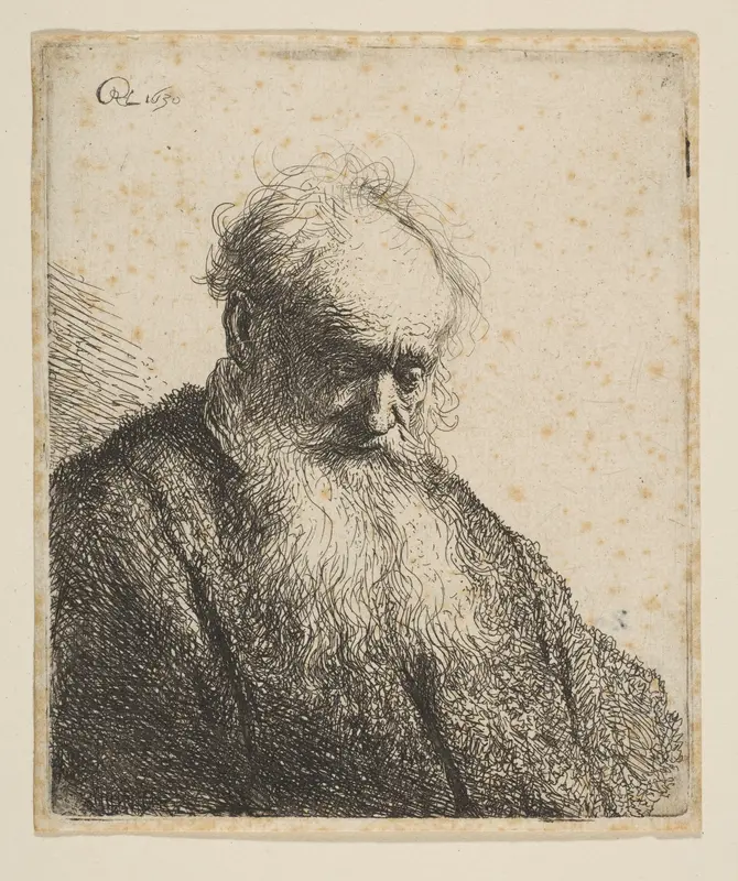 Bust of an Old Man with Flowing Beard: the Head Inclined Three-Quarters Right Wall Art by Rembrandt (Rembrandt van Rijn) - High-Resolution Digital Print