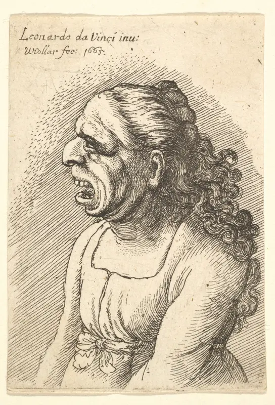 Bust of woman with wide-open mouth and long curly hair falling over her shoulders, wearing low-cut dress with ribbon round her waist, in profile to left Wall Art by Wenceslaus Hollar - High-Resolution Digital Print