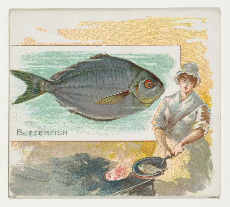Butterfish, from Fish from American Waters series (N39) for Allen & Ginter Cigarettes Wall Art by Allen & Ginter - High-Resolution Digital Print