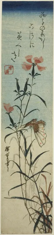 Butterfly and pinks