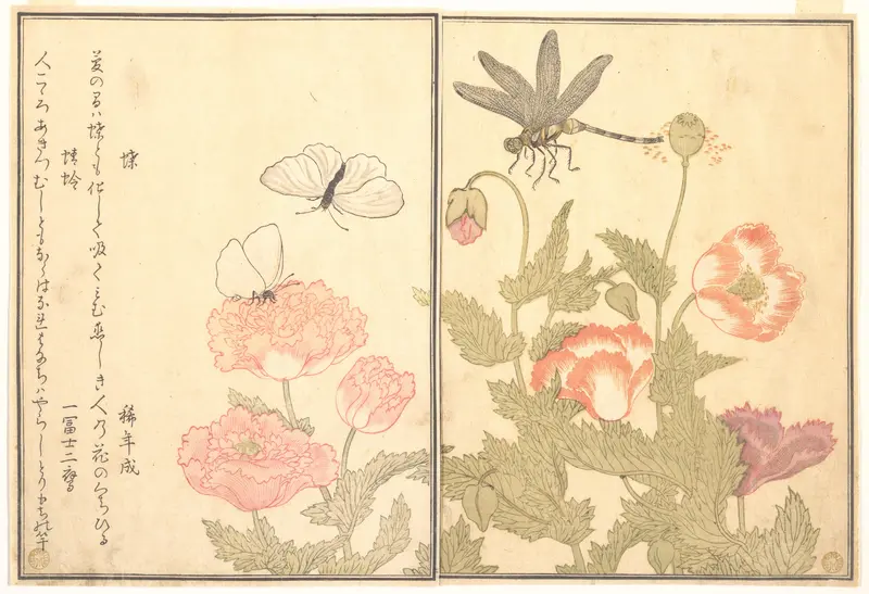 Butterfly (Chō); Dragonfly (Kagerō or Tonbo), from the Picture Book of Crawling Creatures (Ehon mushi erami)