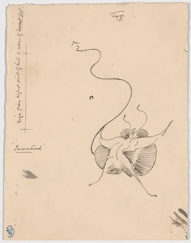 Butterfly "Encountered" (recto); Sketch for Tailpiece (verso)