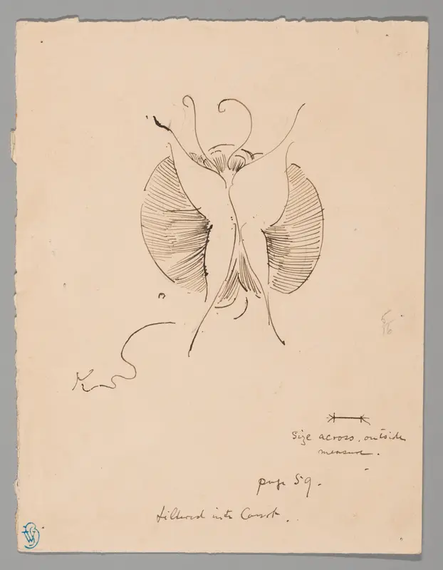 Butterfly (recto); Fragment of Butterfly (verso)