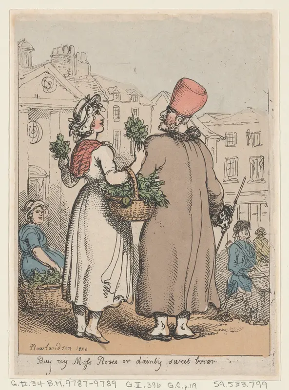 Buy My Moss Roses, or Dainty Sweetbriar Wall Art by Thomas Rowlandson - High-Resolution Digital Print