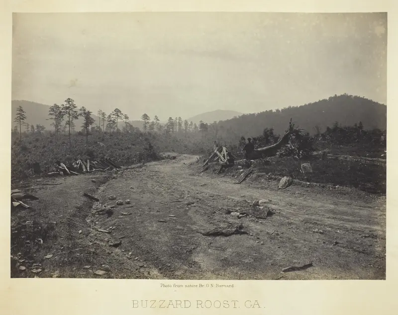 Buzzard Roost, GA