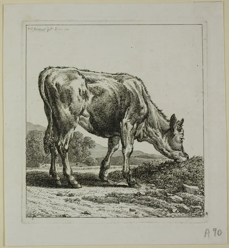 Calf Feeding, from Die Zweite Thierfolge Wall Art by Johann Christian Reinhart - High-Resolution Digital Print
