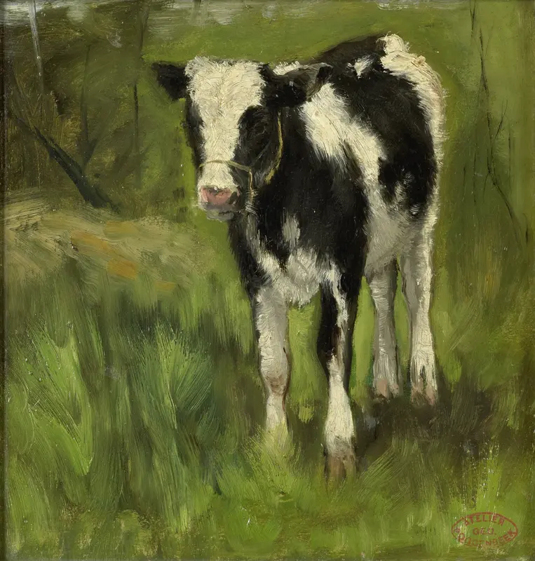Calf, spotted black and white Wall Art by Unknown - High-Resolution Digital Print