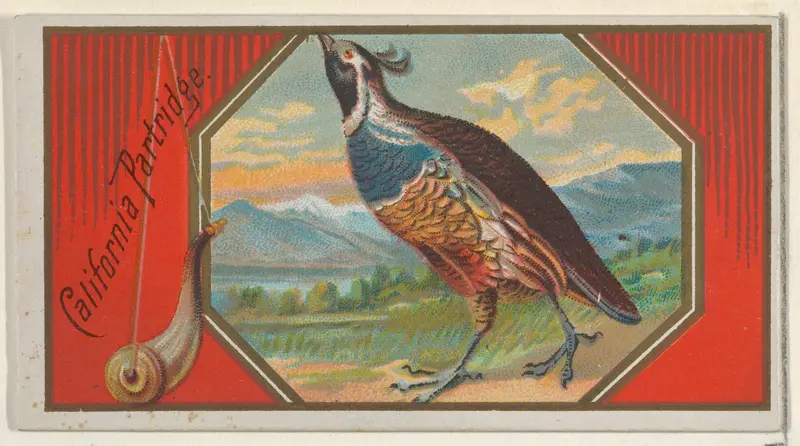 California Partridge, from the Game Birds series (N13) for Allen & Ginter Cigarettes Brands Wall Art by Allen & Ginter - High-Resolution Digital Print