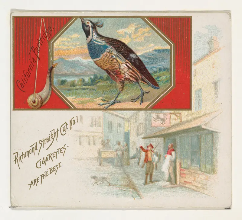 California Partridge, from the Game Birds series (N40) for Allen & Ginter Cigarettes Wall Art by Allen & Ginter - High-Resolution Digital Print