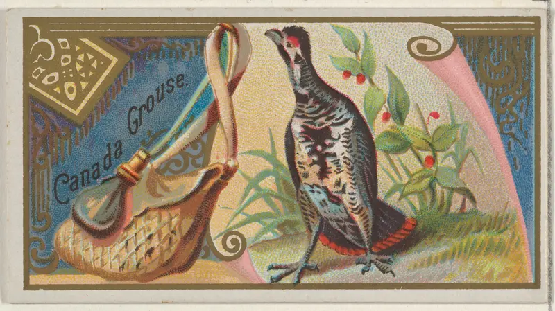 Canada Grouse, from the Game Birds series (N13) for Allen & Ginter Cigarettes Brands Wall Art by Allen & Ginter - High-Resolution Digital Print