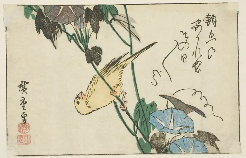 Canary and morning glories