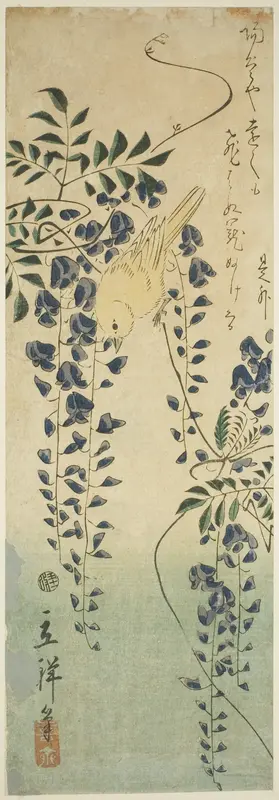 Canary and wisteria