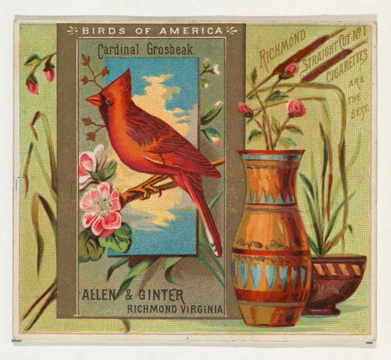 Cardinal Grosbeak, from the Birds of America series (N37) for Allen & Ginter Cigarettes Wall Art by Allen & Ginter - High-Resolution Digital Print