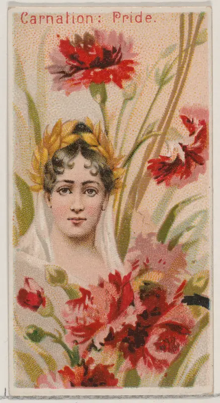 Carnation: Pride, from the series Floral Beauties and Language of Flowers (N75) for Duke brand cigarettes Wall Art by American Tobacco Company - High-Resolution Digital Print