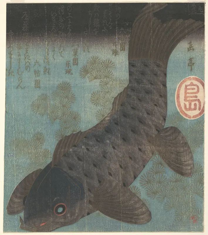Carp and Pine