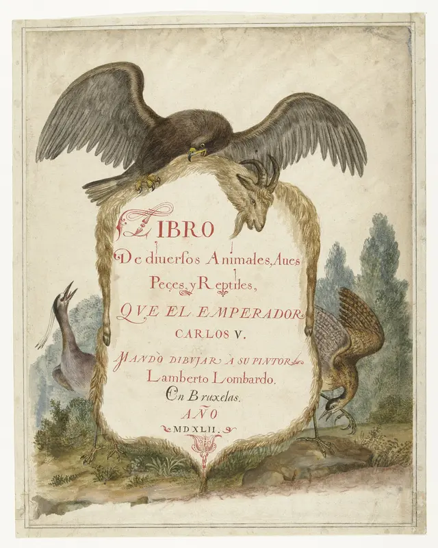 Cartouche opgehouden door een steenarend, kwak en roerdomp Wall Art by anonymous - High-Resolution Digital Print