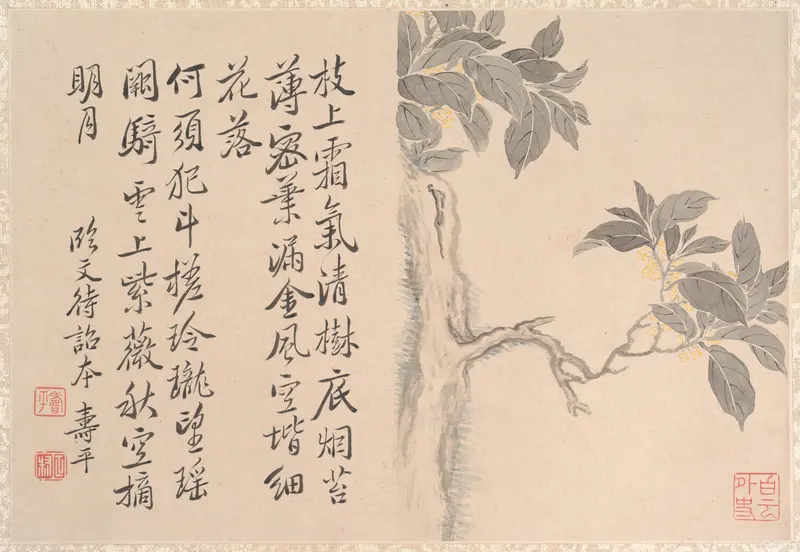 Cassia Tree