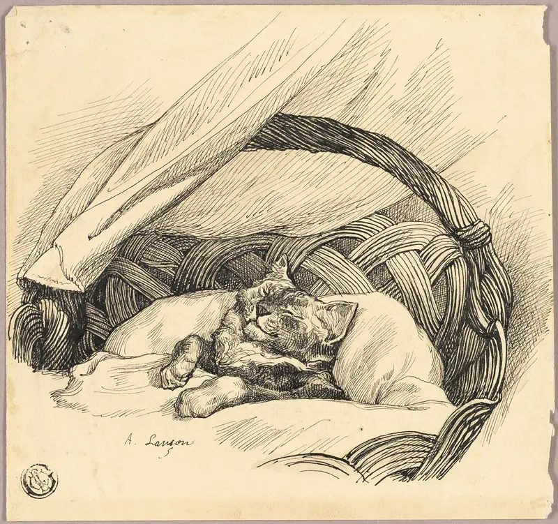 Cat Asleep in Basket