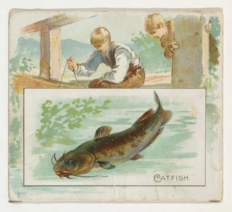 Catfish, from Fish from American Waters series (N39) for Allen & Ginter Cigarettes Wall Art by Allen & Ginter - High-Resolution Digital Print