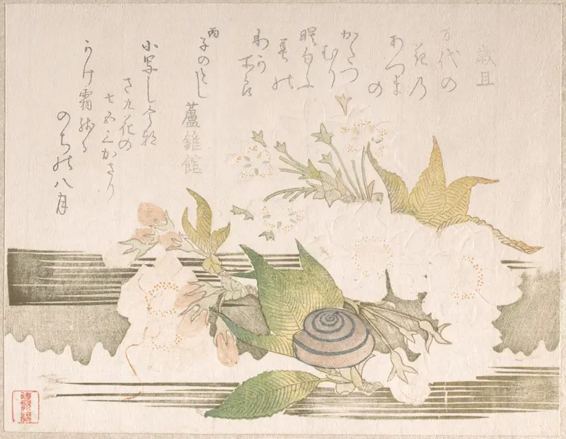 Cherry Blossoms and a Snail