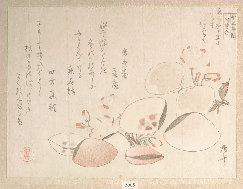 Cherry Blossoms and Shells
