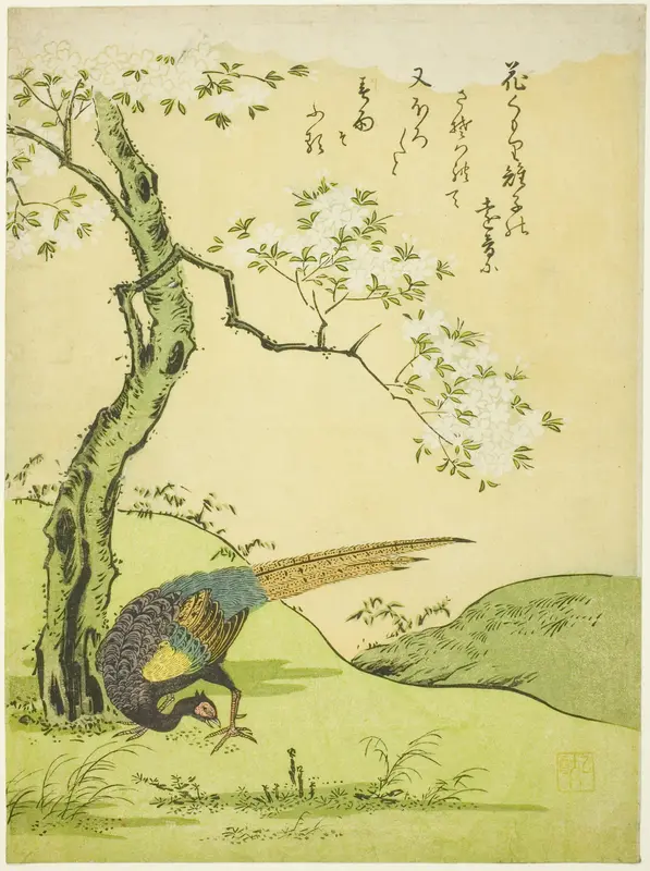 Cherry Tree and Pheasant