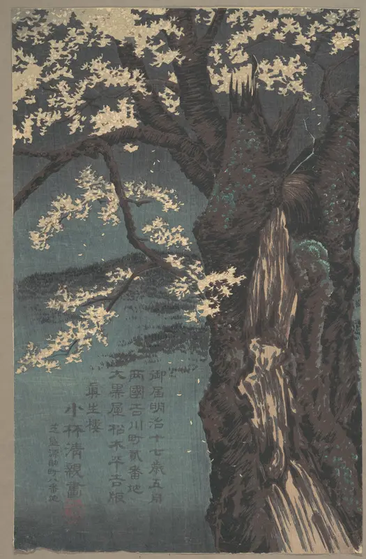 Cherry Tree
