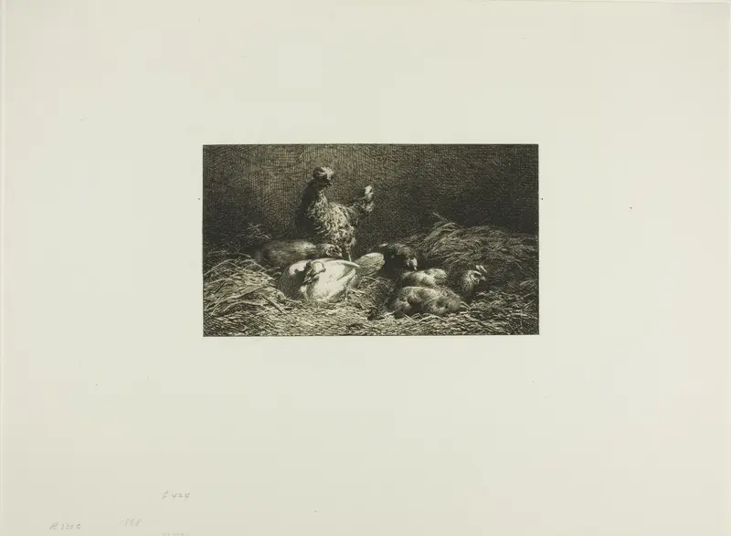 Chickens in Their Roost