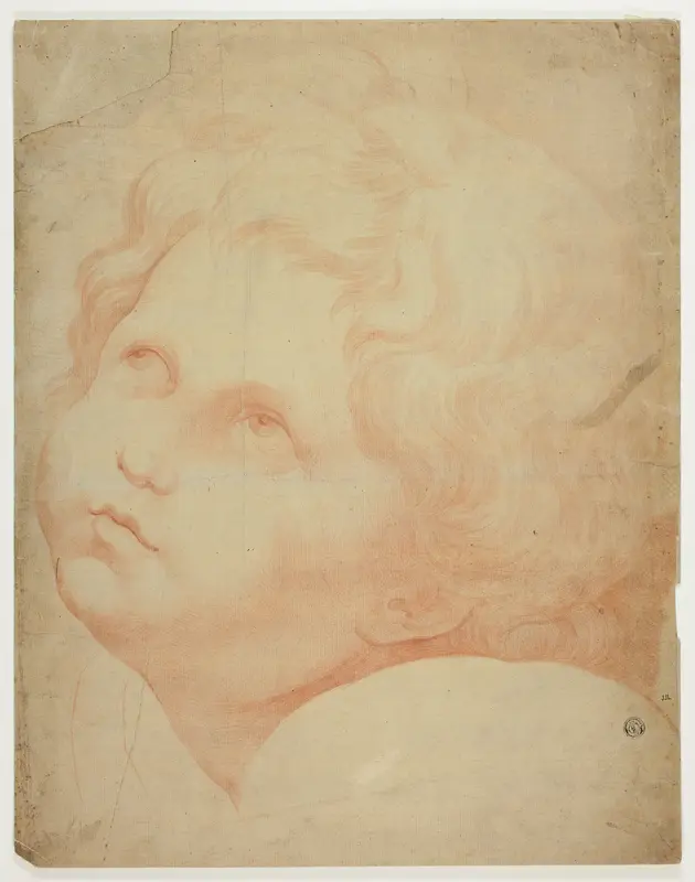 Child's Head, Looking Upward Wall Art by Raphael - High-Resolution Digital Print