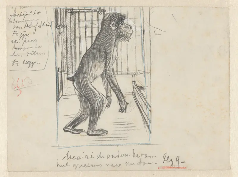 Chimpansee in een kooi in een dierentuin Wall Art by Willem Vaarzon Morel - High-Resolution Digital Print