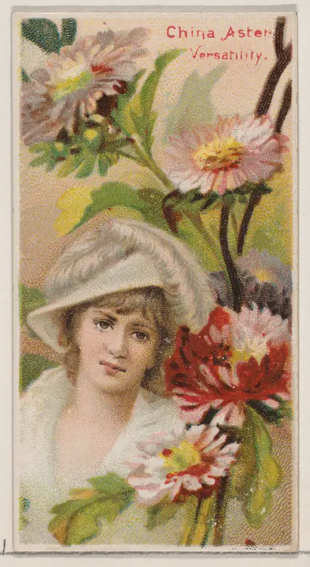 China Aster: Versatility, from the series Floral Beauties and Language of Flowers (N75) for Duke brand cigarettes Wall Art by American Tobacco Company - High-Resolution Digital Print