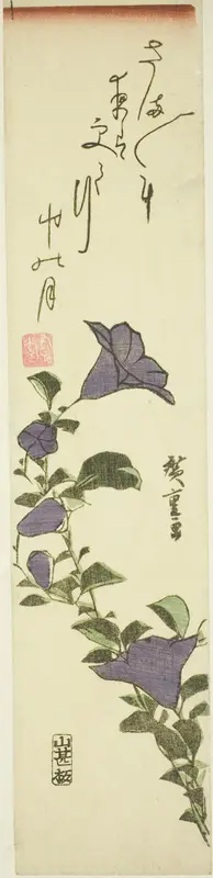 Chinese Bell Flowers