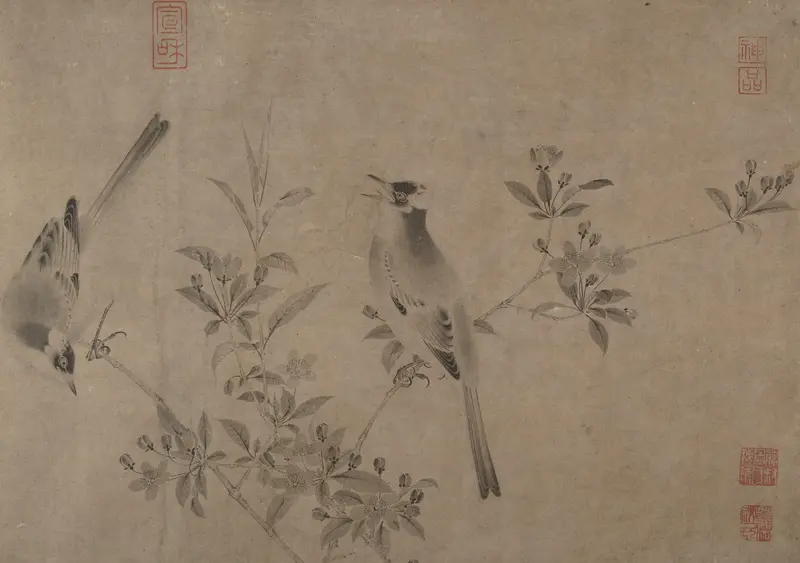 Chinese bulbuls on flowering crab apple
