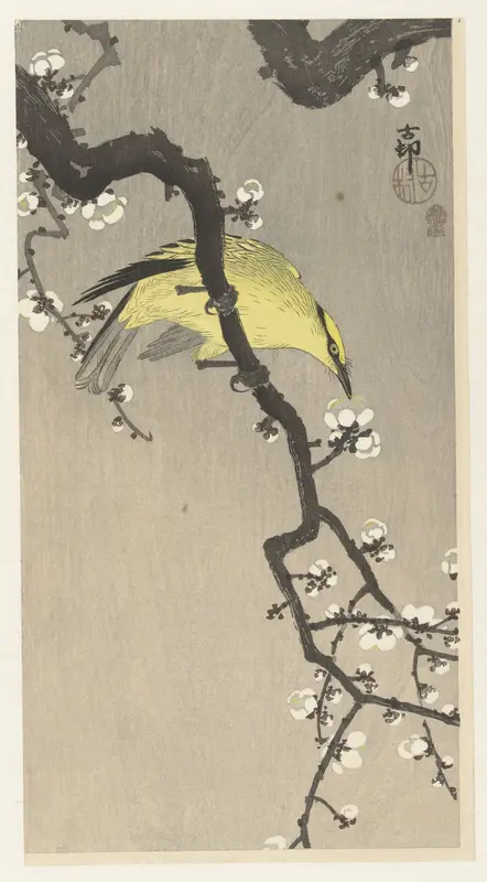 Chinese wielewaal op pruimenbloesemtak Wall Art by Akiyama Buemon - High-Resolution Digital Print