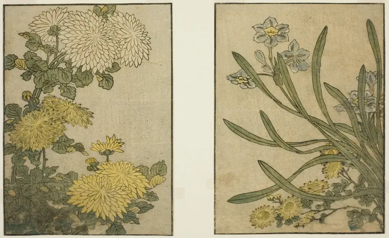 Chrysanthemum and Narcissus, from the illustrated book "Picture Book: Flowers of the Four Seasons (Ehon shiki no hana)," vol. 2
