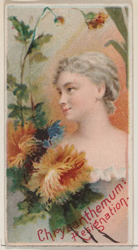 Chrysanthemum: Resignation, from the series Floral Beauties and Language of Flowers (N75) for Duke brand cigarettes Wall Art by American Tobacco Company - High-Resolution Digital Print
