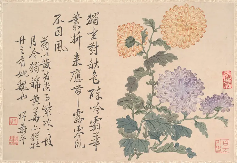 Chrysanthemums