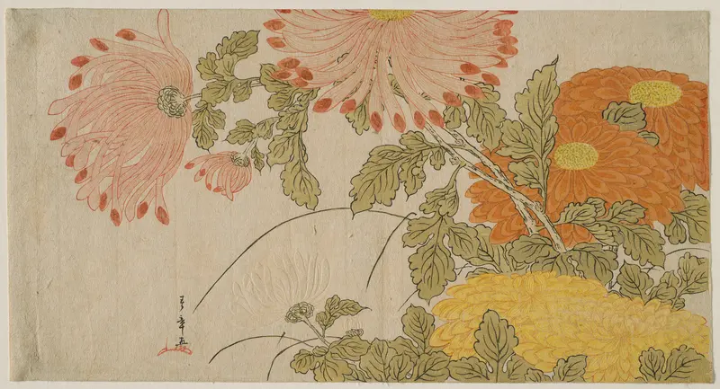 Chrysanthemums
