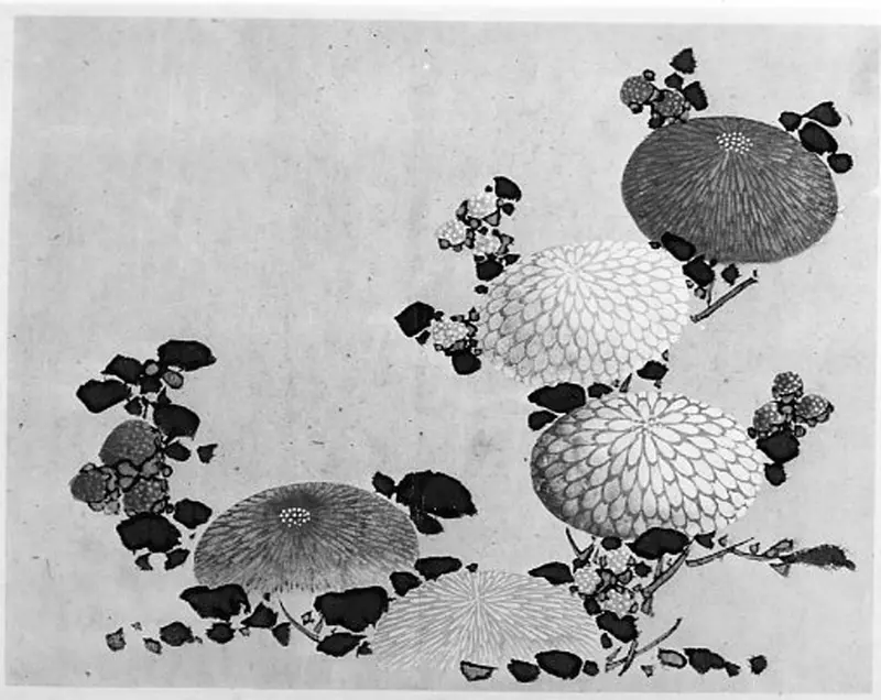 Chrysanthemums