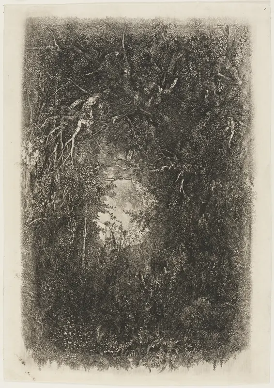 Clearing in the Forest
