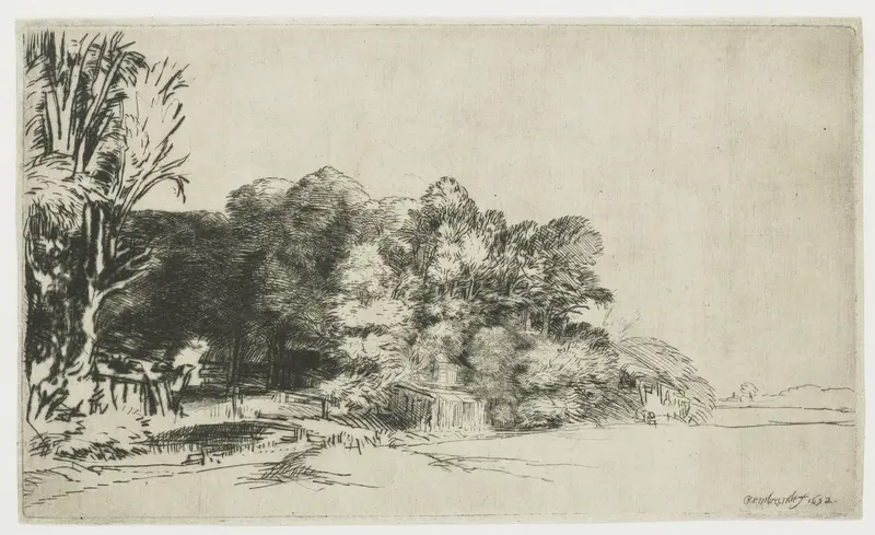 Clump of trees with a vista Wall Art by Unknown - High-Resolution Digital Print