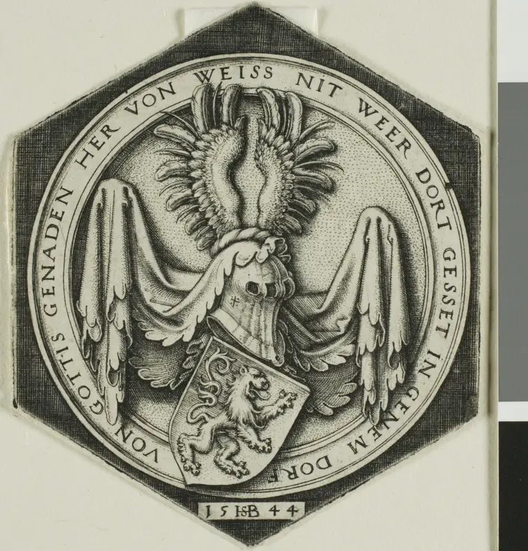 Coat of Arms with a Rampant Lion