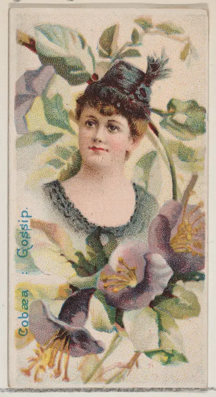 Cobaea: Gossip, from the series Floral Beauties and Language of Flowers (N75) for Duke brand cigarettes Wall Art by American Tobacco Company - High-Resolution Digital Print