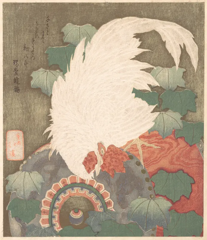 Cock on Drum